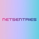 NetSentries Technologies logo