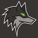 Dark Wolf Solutions logo